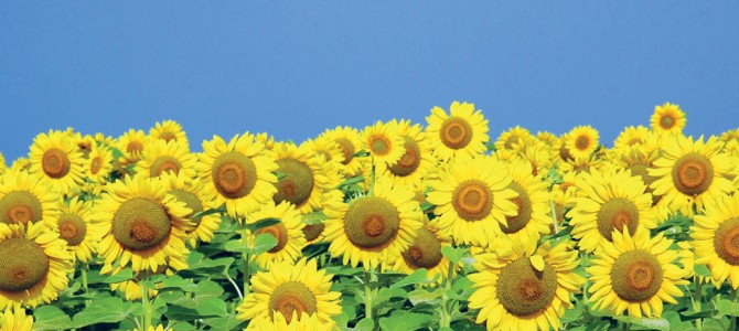 Bindeglied im Wertewandel der Wirtschaft